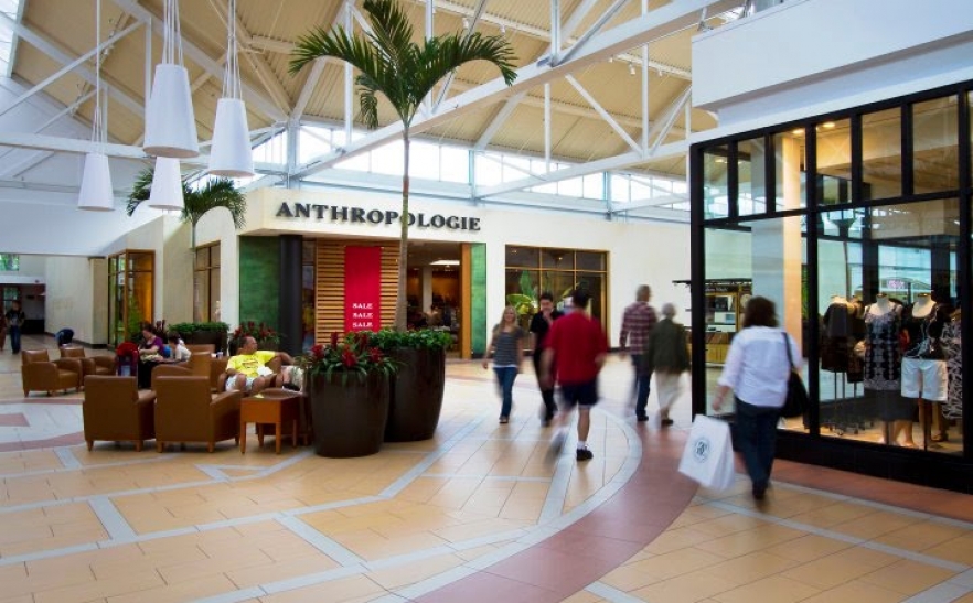 Anthropologie